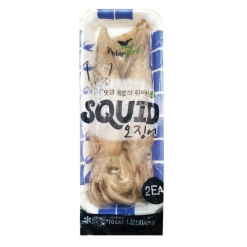 폴라버드 오징어 2미